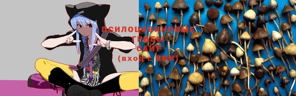 наркотики Алзамай