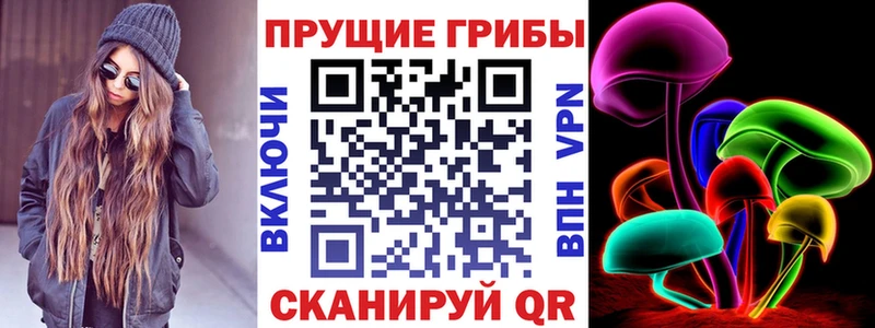 Галлюциногенные грибы Magic Shrooms Новокубанск